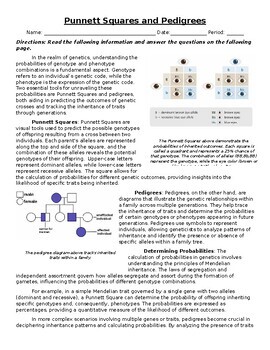 Preview of Punnett Squares and Pedigrees: Informational Text, Images, and Assessment