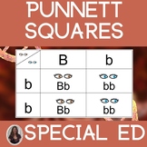 Punnett Squares for Special Education Biology Genetics Heredity