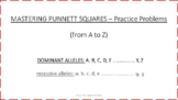 Punnett Squares from A to Z | 26 problem sets | Answer Key
