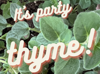 Preview of Punny Joke JPG: "It's party thyme!"