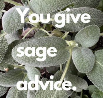 Preview of Punny Joke JPG: "You give sage advice."