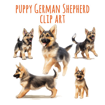 Puppy German Shepherd Clipart, German Shepherd Dog Breed PNG, Shepherd ...