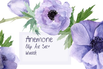 Preview of Purple Anemone Watercolor Clip Art Set + Wreath