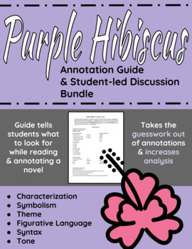purple hibiscus short summary