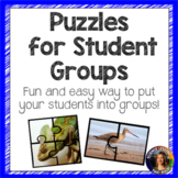 Puzzles for Student Groups