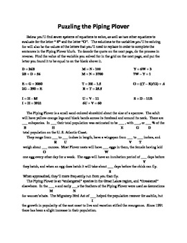 Preview of Puzzling the Piping Plover,Math Essay Solving Systems by Substitution Method