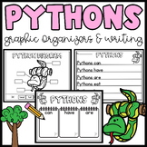 Python Graphic Organizers- Writing- Labeling Parts of a Py