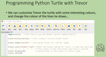Preview of Python turtle - lesson 2 - customizing the turtle and adding a friend!