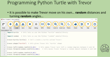 Preview of Python turtle - lesson 3 - making the turtle move on its own