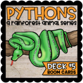 Pythons: A Rainforest Animal Series  |  BOOM CARDS