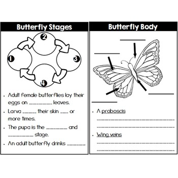 QR Code Centers: Butterfly Life Cycle by Teach With Ashley | TpT