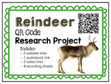 QR Code Research: Reindeer