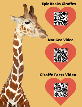 Preview of QR Codes: Giraffes animal research for informational writing