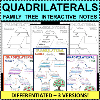 Preview of QUADRILATERALS Interactive Notes DIFFERENTIATED Geometry Skills