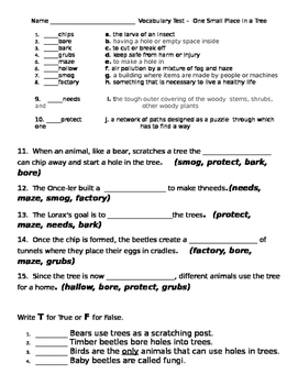 vocabulary lorax quiz tree comprehension place words