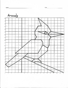 Quadrant 1 Coordinate Graph Mystery Picture, Aracely Woodpecker by Curious  Math
