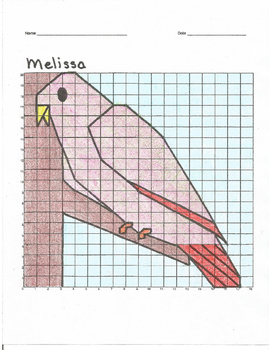 Preview of Quadrant 1 Coordinate Graph Mystery Picture, Melissa Bird