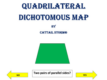 Preview of Quadrilateral Dichotomous Map
