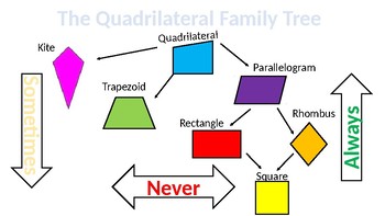 Quadrilateral Diagram Tree