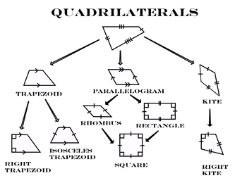 Preview of Quadrilateral Tree