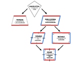 Quadrilaterals Hierarchy Chart