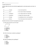 Quadrilaterals Test