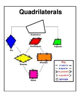 Quadrilaterals Tree Map with Key For Math Notebook by Carter Elmore