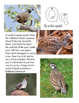 Preview of Quail hatch/egg study