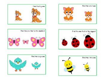 qualitative concept cards by sunshine speech time tpt