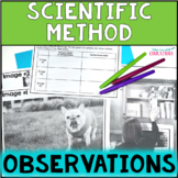 Qualitative vs Quantitative Observations - Science Making 