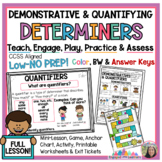 Quantifiers & Demonstratives Lesson | Determiners | Worksh