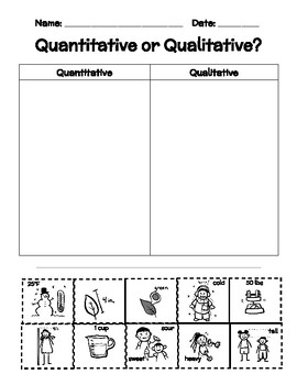 Preview of Quantitative or Qualitative Data Sort