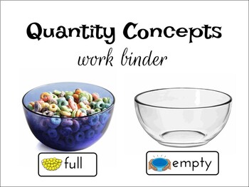 Preview of Quantity Concepts: Math Interactive Workbook