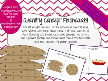 Preview of Quantity Concepts and Vocabulary Flash Cards - 48 Cards!