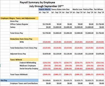 Preview of NEW SCHOOL TOOLS: Quarterly Payroll Summary Spreadsheet