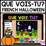 Que vois-tu? French Halloween Picture Prompts