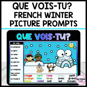Preview of Que vois-tu? French Winter Picture Prompts
