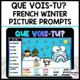 Que vois-tu? French Winter Picture Prompts
