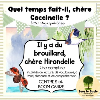 Preview of Quel temps fait-il Coccinelle? IL Y A DU BROUILLARD literacy unit and 10 centres