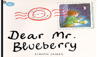 Querido Salvatierra Dear Mr Blueberry Lesson Plan Tpt