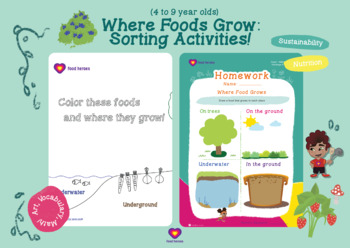 Preview of Where Food Grows Sorting Activities