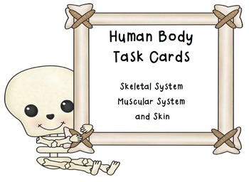 Preview of Task Cards-Human Body (Skeletal System, Muscular System, Skin)