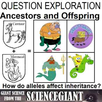 Preview of Question Exploration: How Do Alleles Affect Genetic Inheritance? Punnett Squares