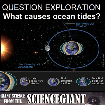 Preview of Question Exploration: What Causes Tides? (High and Low, Spring and Neap)