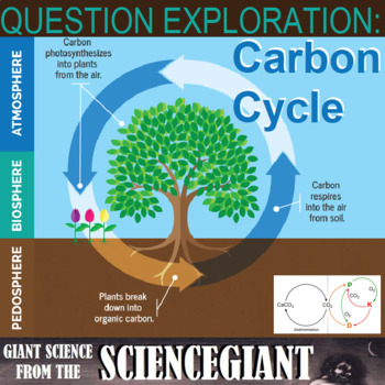 Preview of Question Exploration: What Happens During the Carbon Cycle?