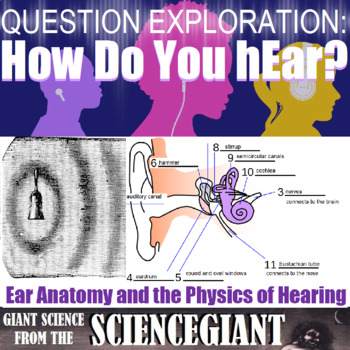 Preview of Question Exploration and Concept Compare Frame: The Ear and Hearing