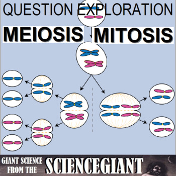 Question Exploration and Concept Compare: Mitosis and Meiosis Cell Cycles