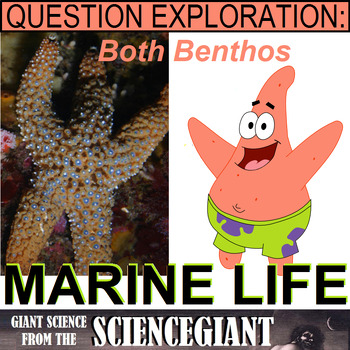 Preview of Question Explore: Bikini Bottom and Open Ocean Life (Plankton, Nekton, Benthos)