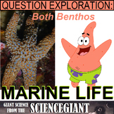 Question Explore: Bikini Bottom and Open Ocean Life (Plank