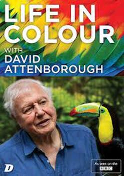 Preview of Question Guide: Life in Color with David Attenborough E1